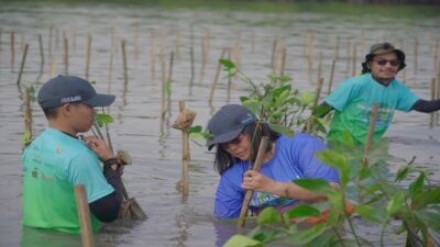 Peringati Hari Lingkungan Hidup dan Laut Sedunia, Biofarma Group Tanam 5.500 Bibit Mangrove di Subang