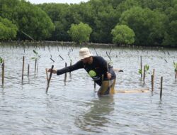 Peringati Hari Bumi Sedunia, Bio Farma Tanam 4000 Mangrove di Pantai Subang