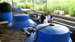 Bey Machmudin PLTS Biogas